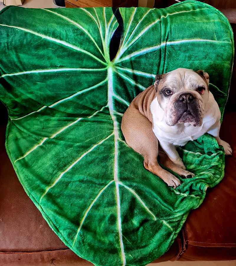 Leaf Shaped Luxury Mongolian Fleece Blanket